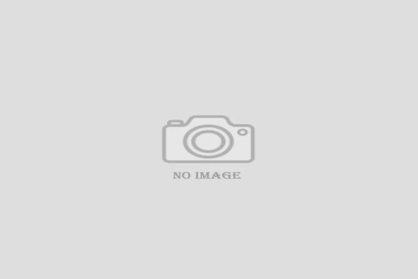 Chemical Vulcanising Fluid